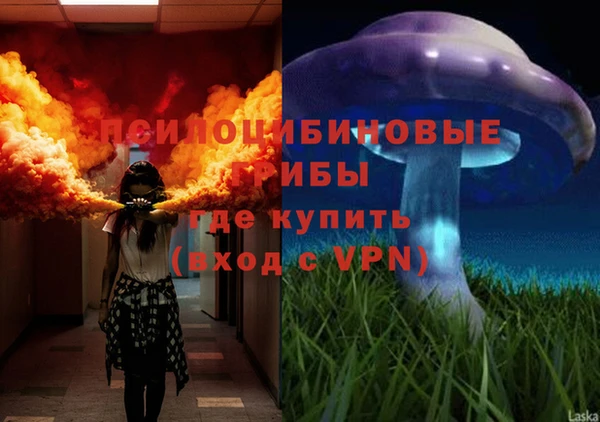 герыч Зерноград