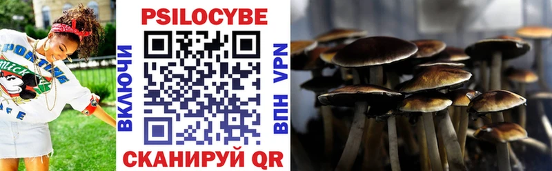 Псилоцибиновые грибы GOLDEN TEACHER  Купить где  Новомосковск 